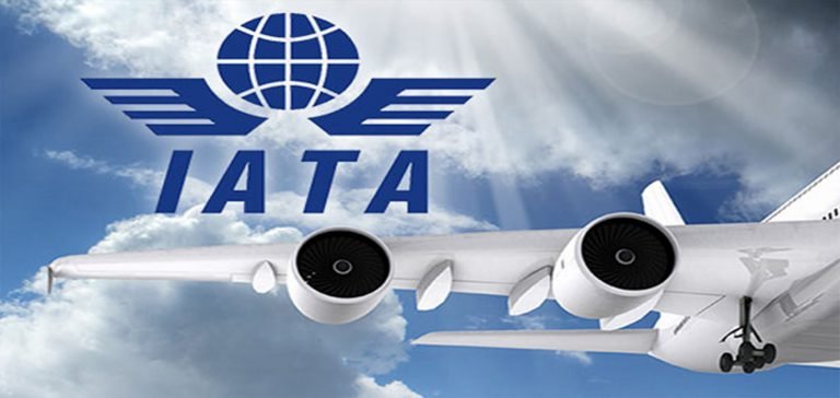 IATA Raporu: Küresel Yolcu Talebinde Güçlü Artış Sinyalleri